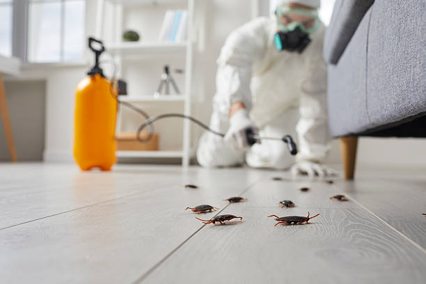 Commercial Kitchen Cockroach Control in Cedar Crest